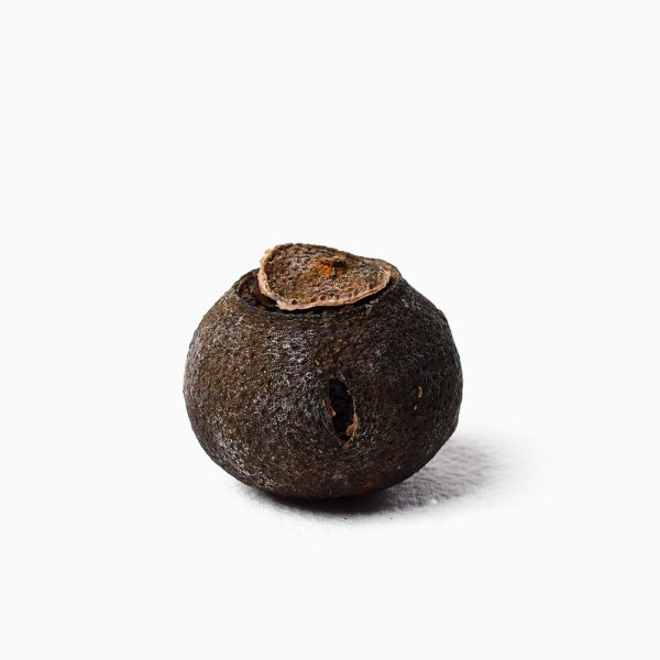 Fuhai Lucky Tangerine Ripe Pu-Erh (Xiao Qing Gan)