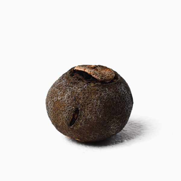 Fuhai Lucky Tangerine Ripe Pu-Erh (Xiao Qing Gan)