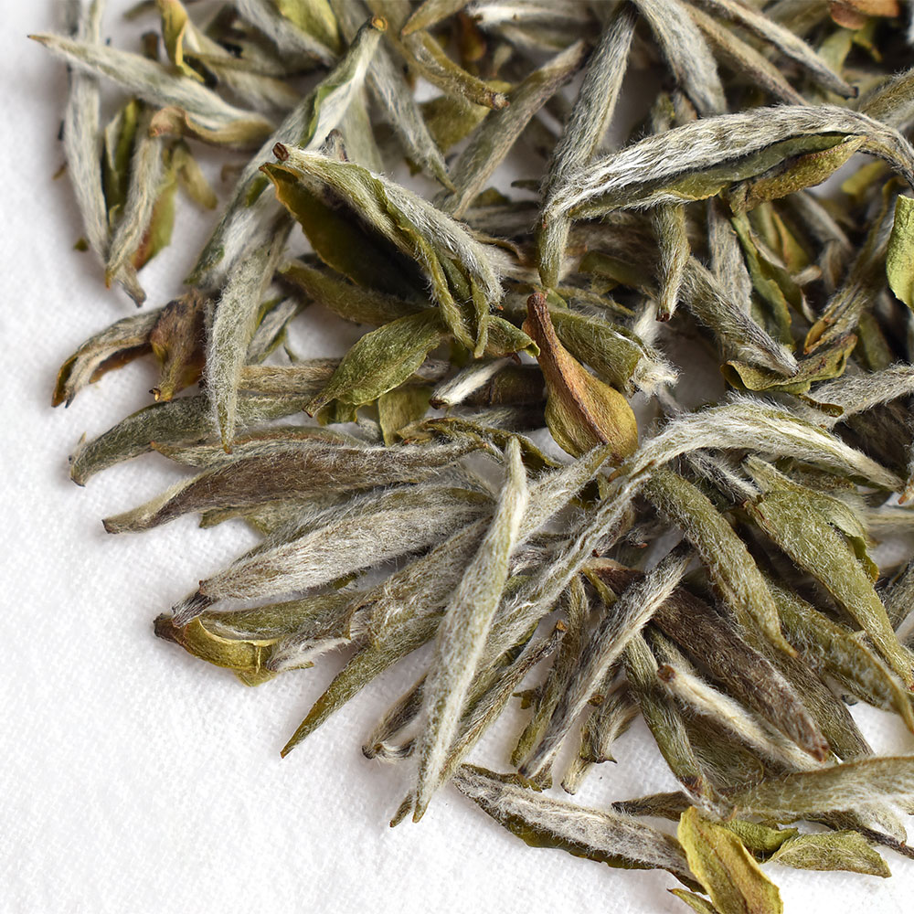Zhenghe White Hair Silver Needle Tea (Baihao Yinzhen)