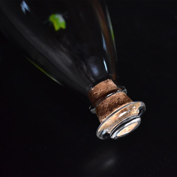 Orchid Cold Brew Tea Bottle Set