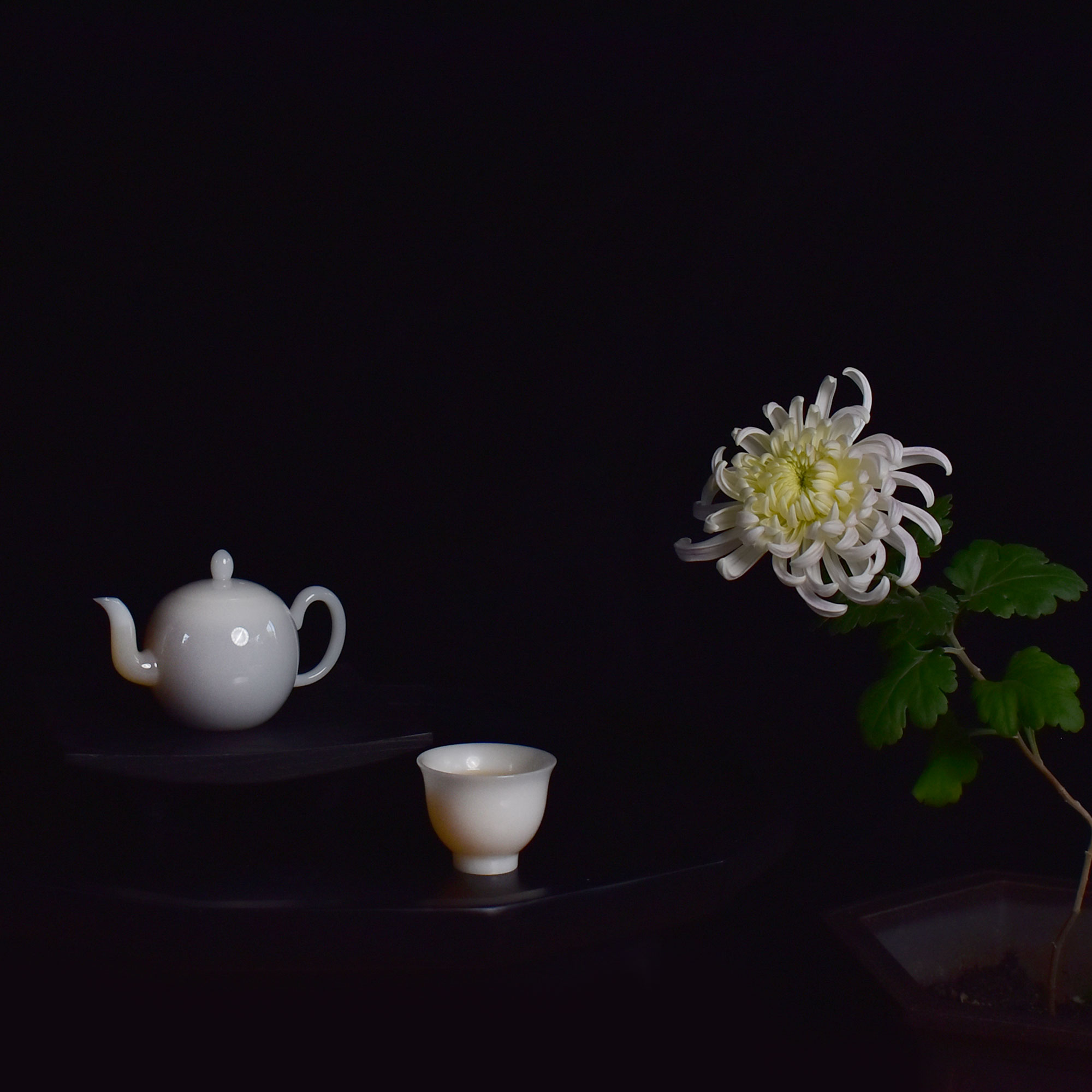 Jade Porcelain Beauty Shoulder Teapot