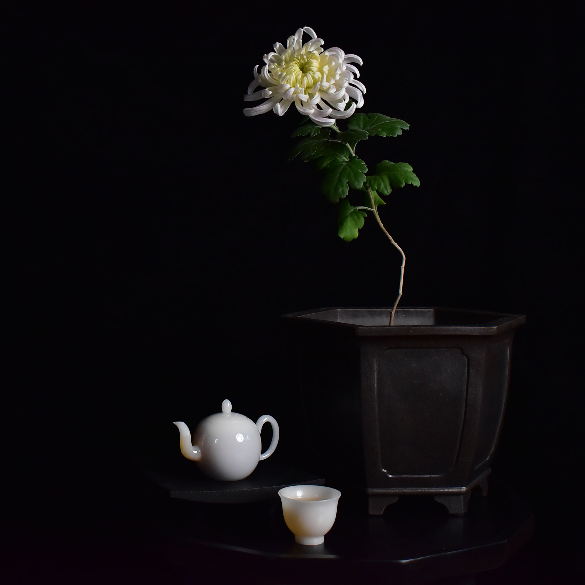 Jade Porcelain Beauty Shoulder Teapot